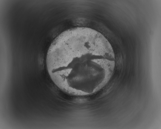 X0000100500749200807111143