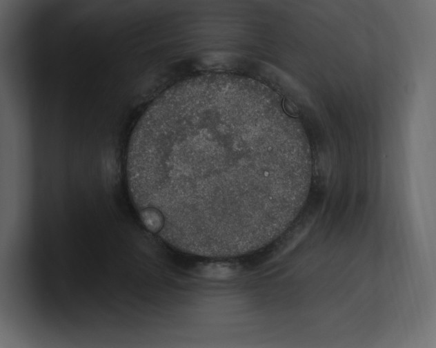 X0000100500751200807111143