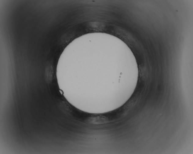 X0000100500752200807111143