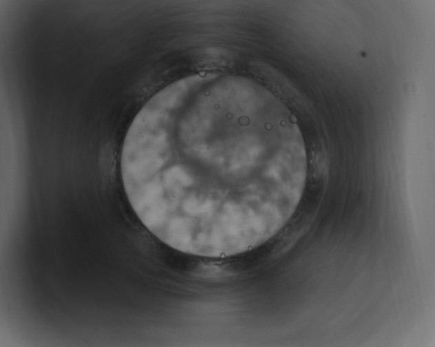 X0000100500753200807111143