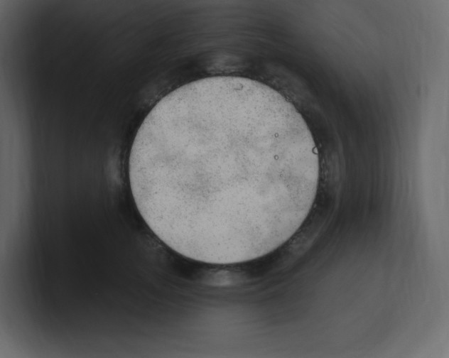 X0000100500755200807111143