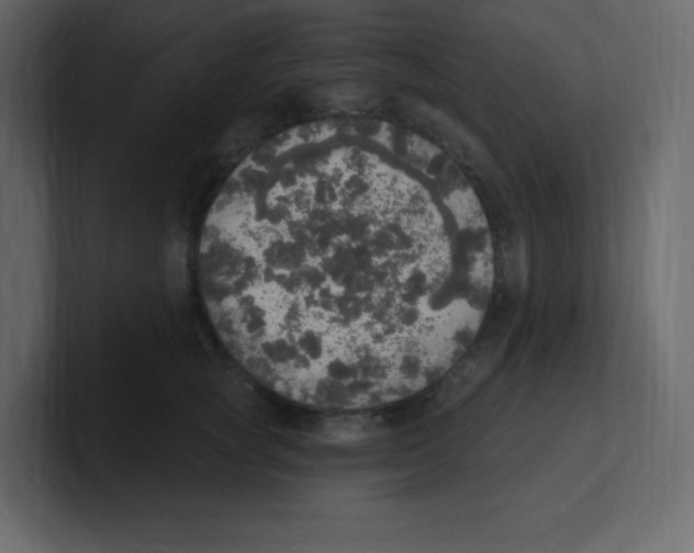 X0000100500757200807111143