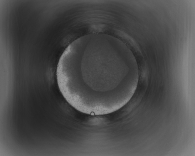 X0000100500759200807111143