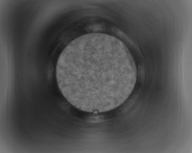 X0000100500760200807111143