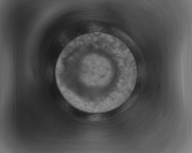 X0000100500761200807111143