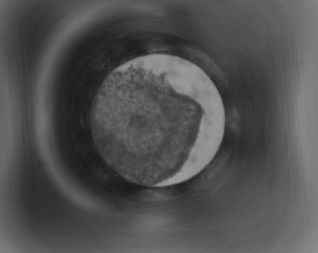 X0000100500763200807111143