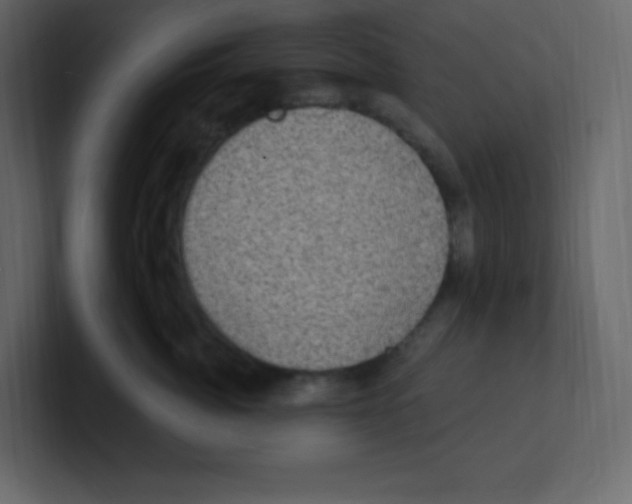 X0000100500764200807111143