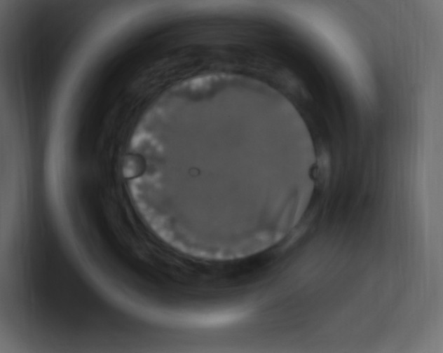 X0000100500765200807111143