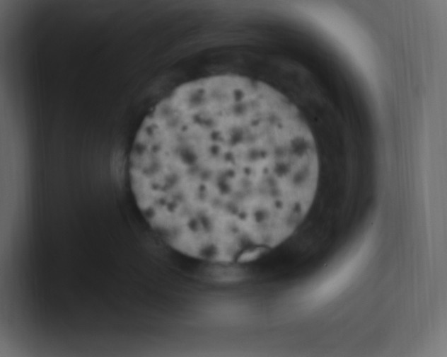 X0000100500767200807111143