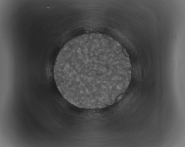 X0000100500770200807111142