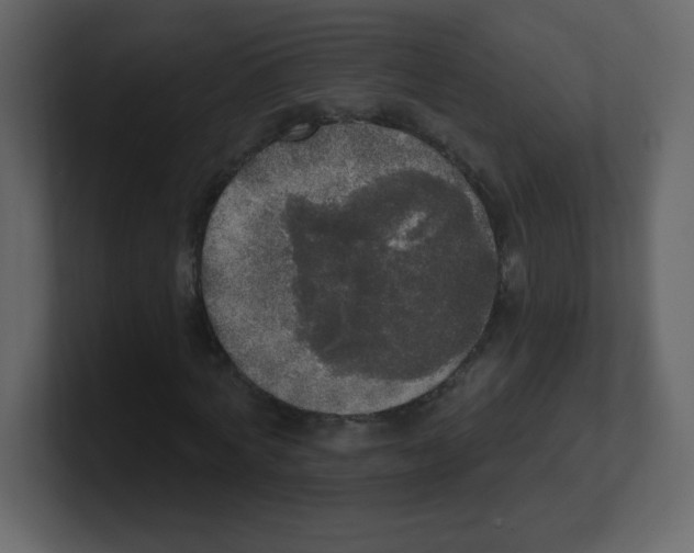 X0000100500772200807111142