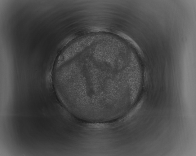 X0000100500785200807111142