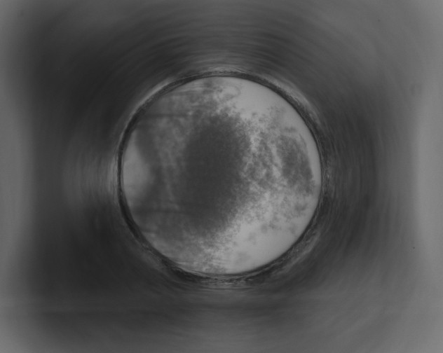 X0000100500790200807111142