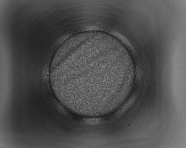 X0000100500793200807111142