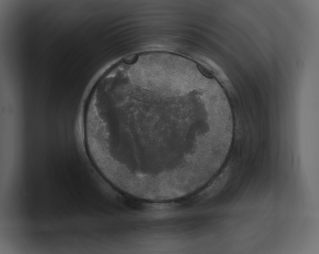 X0000100500796200807111142