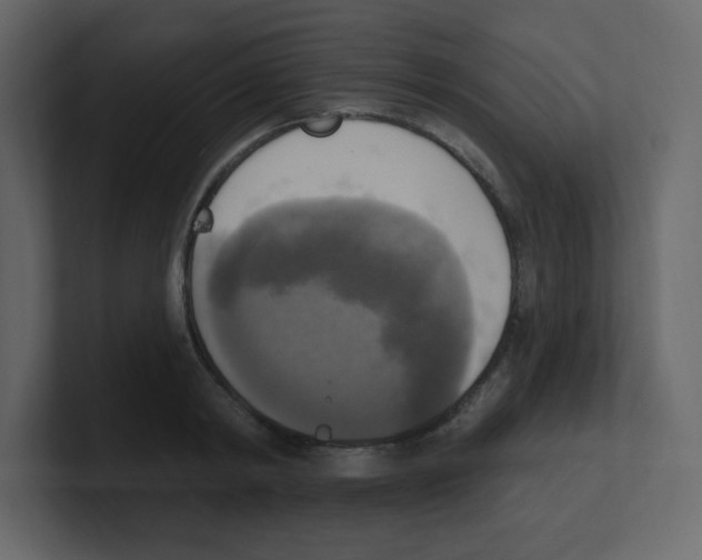 X0000100500798200807111142