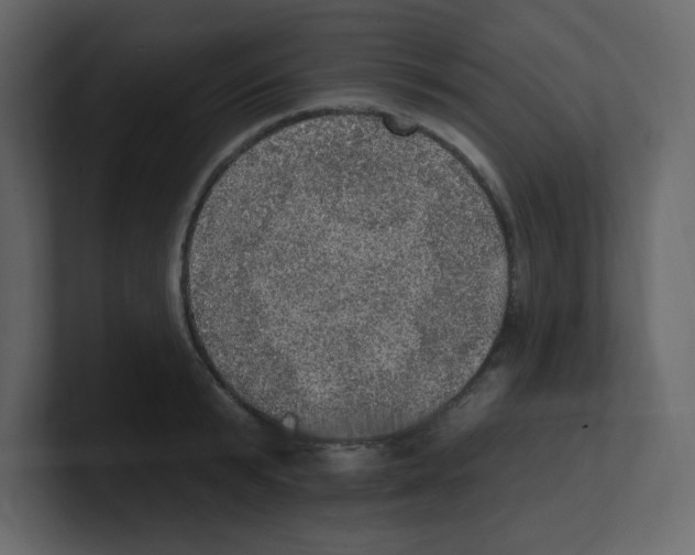 X0000100500799200807111142