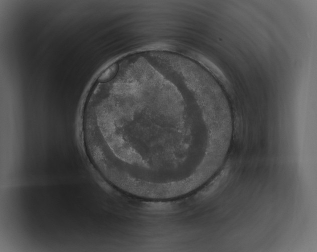 X0000100500800200807111142