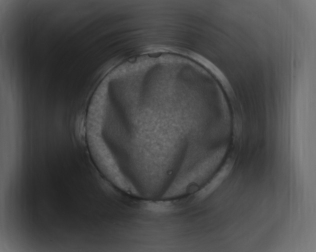 X0000100500809200807111142