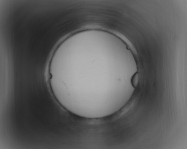 X0000100500815200807111142