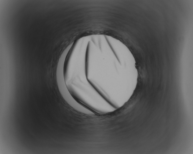 X0000100500818200807111141