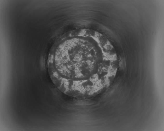 X0000100500819200807111141