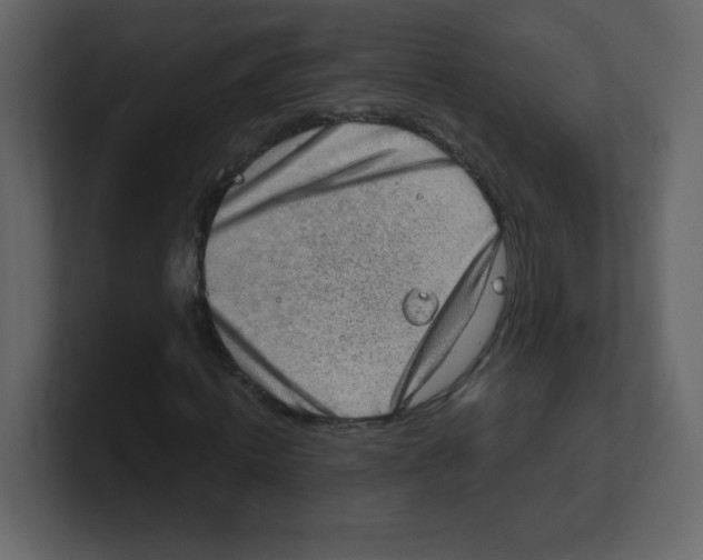 X0000100500820200807111141