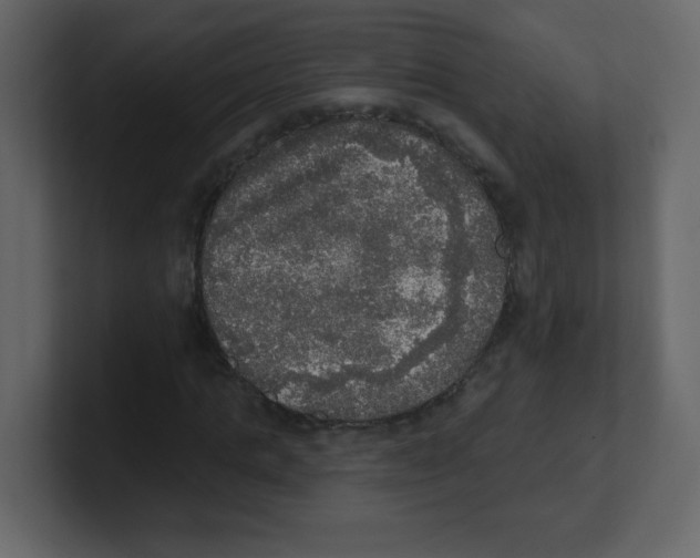 X0000100500821200807111141