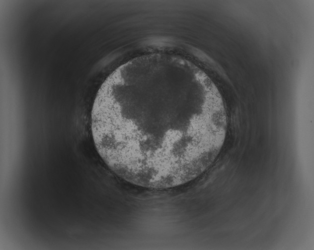 X0000100500822200807111141