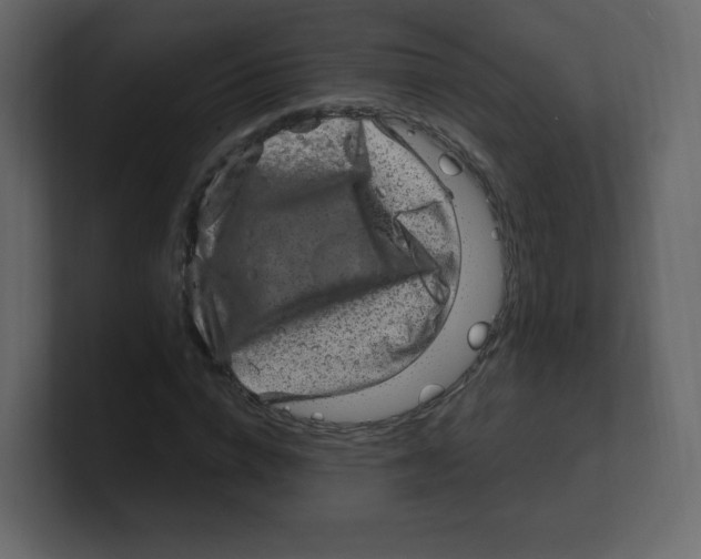 X0000100500824200807111141