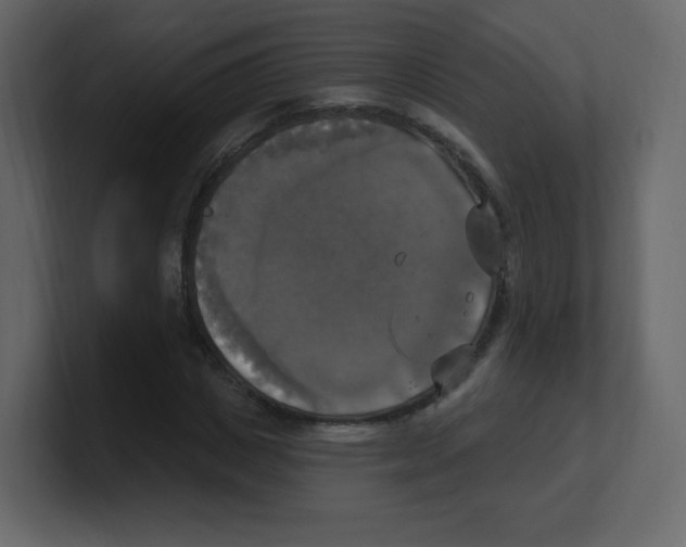 X0000100500825200807111141