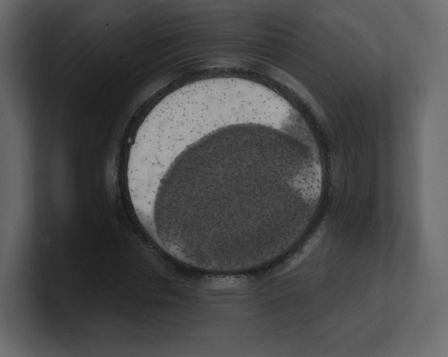 X0000100500826200807111141