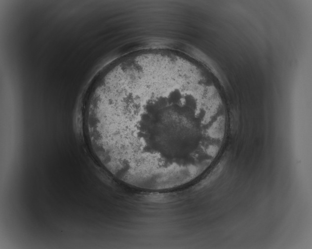 X0000100500827200807111141