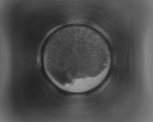 X0000100500830200807111141