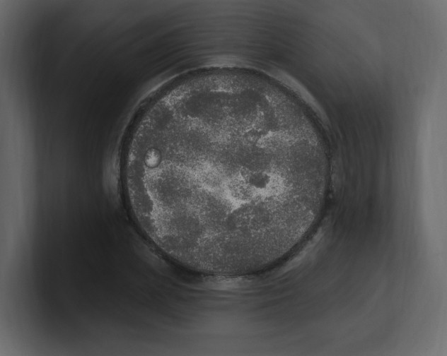 X0000100500831200807111141