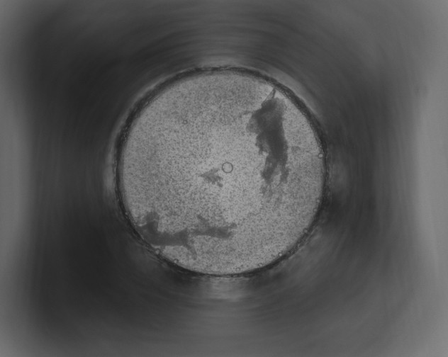 X0000100500832200807111141