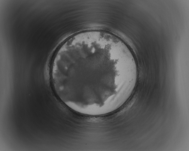 X0000100500835200807111141