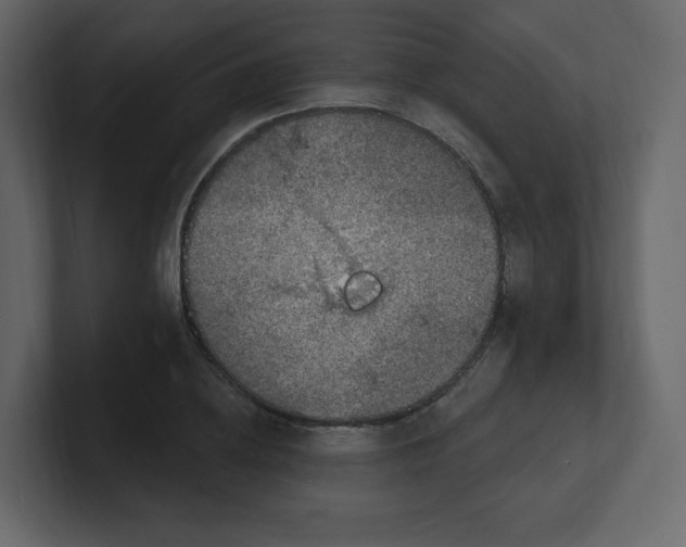 X0000100500836200807111141