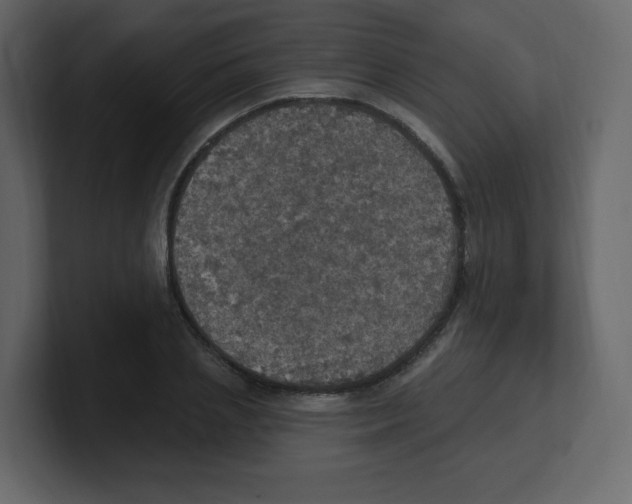 X0000100500837200807111141