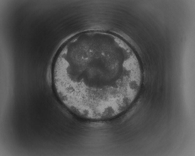 X0000100500838200807111141