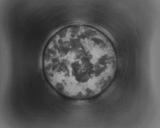 X0000100500839200807111141