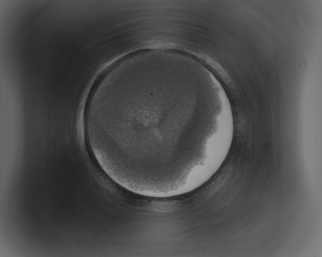 X0000100500840200807111141