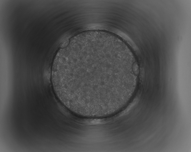 X0000100500841200807111141