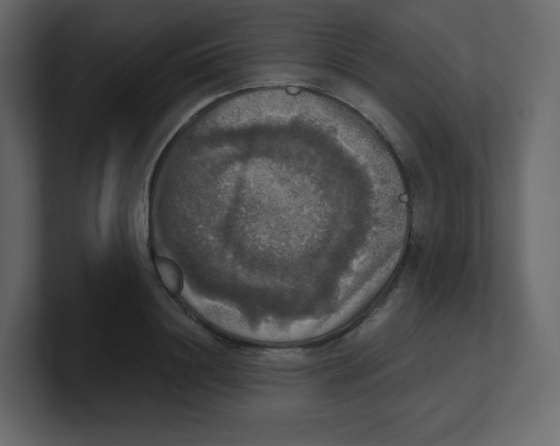 X0000100500844200807111141