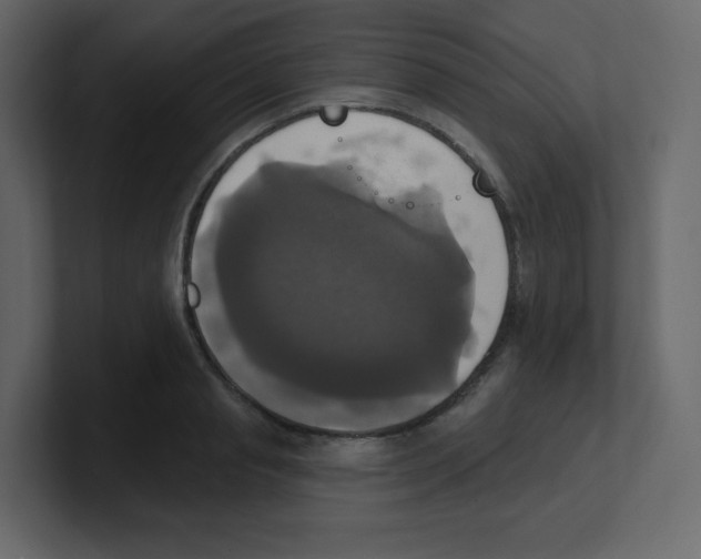 X0000100500845200807111141