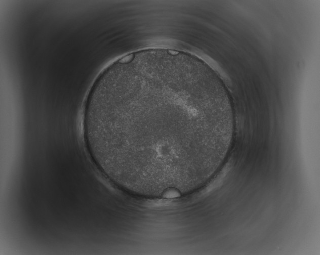 X0000100500846200807111141