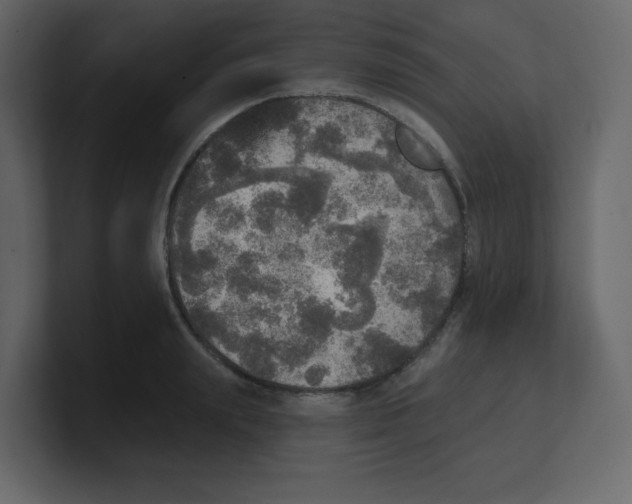 X0000100500847200807111141