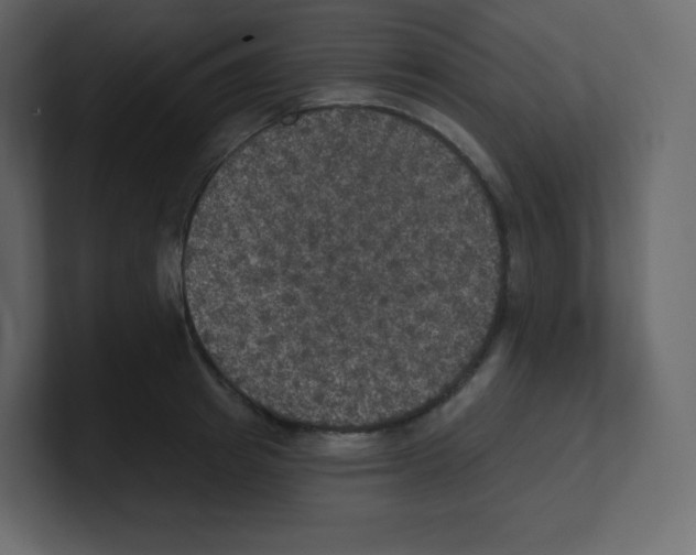 X0000100500849200807111141