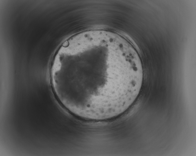 X0000100500851200807111141