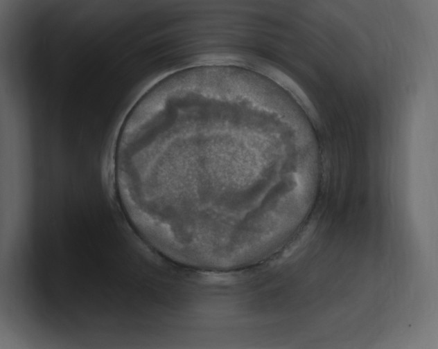 X0000100500852200807111141